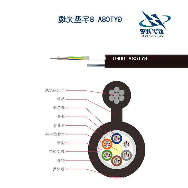 淄博市GYTC8S光缆