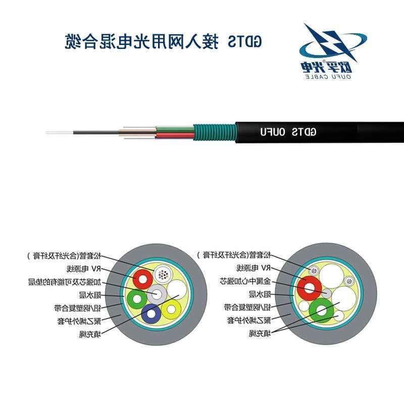 儋州市GDTS光缆