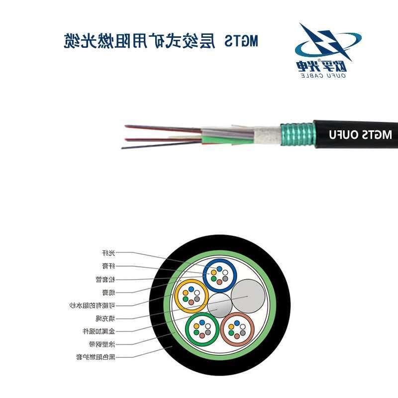 直辖县级MGTS光缆